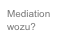 Mediation
wozu?