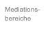 Mediations-
bereiche