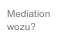 Mediation wozu?